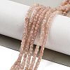 Natural Strawberry Quartz Beads Strands G-H042-B19-01-2