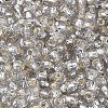 Silver Lined Glass Seed Beads SEED-T007-18A-02-3