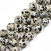 Natural Dalmatian Jasper Beads Strands G-N326-100-02-1