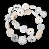 Natural Sunflower Druzy Agate Slice Beads Strands G-K381-A01-2