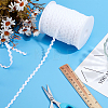 Polyester Wave Ribbon OCOR-WH0078-536C-5