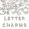 2 Sets Alloy Rhinestone Charms ENAM-TA0008-99P-1