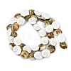 Natural Shiva Eye Shell Beads Strands SHEL-G021-01A-2