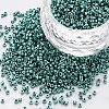 Glass Cylinder Beads SEED-S047-B-006-1