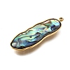 304 Stainless Steel Pave Natural Paua Shell Pendants STAS-Z125-01C-G-2