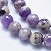 Natural Amethyst Beads Strands G-K256-52-12mm-3