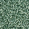 MIYUKI Delica Beads X-SEED-J020-DB2190-3