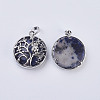 Natural Sodalite Pendants G-K234-E01-2