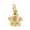 Brass Micro Pave Cubic Zirconia Charms ZIRC-F132-32G-2