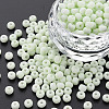 6/0 Glass Seed Beads SEED-T005-14-B17-4