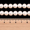 Electroplated Shell Pearl Beads Strands BSHE-C011-01B-4