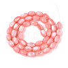 Natural Trochus Shell Beads Strands SHEL-K006-19-01E-2