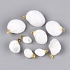 Brass & Natural Spiral Shell Pendants SHEL-Q029-12KCG-1