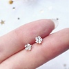 Alloy Earrings for Women FS-WG98937-01-1