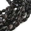 Natural Silver Sheen Obsidian Beads Strands G-C286-A21-3