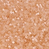 MIYUKI Delica Beads SEED-X0054-DB0821-3
