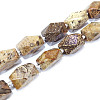 Natural Fossil Coral Beads Strands G-F554-09-1