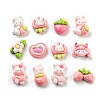 Cute Opaque Resin Decoden Cabochons RESI-S04-01-1