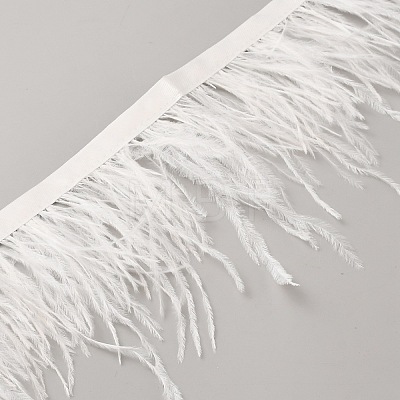 Fashion Ostrich Feather Trimming DIY-WH20012-08B-1