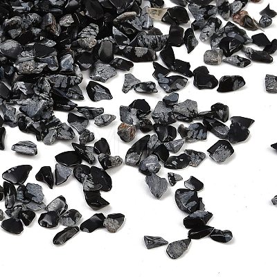 Natural Snowflake Obsidian Beads G-U032-A08-1