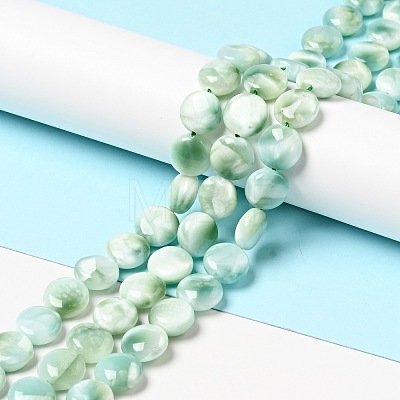 Natural Glass Beads Strands G-I247-33C-1