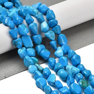 Natural Howlite Beads Strands LS-G-P497-01E-37-1