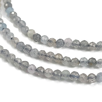 Natural Labradorite Beads Strands X-G-I341-11B-1