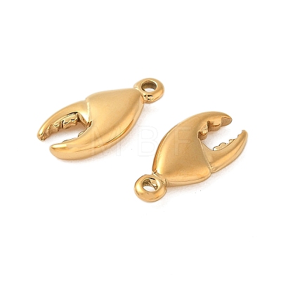 304 Stainless Steel Charms LS-STAS-K306-14G-1