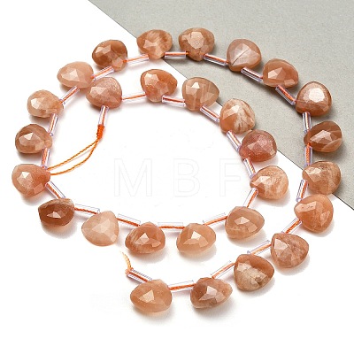 Natural Sunstone Beads Strands G-C292-A07-01-1
