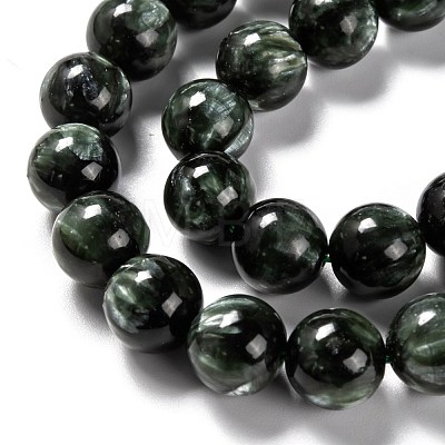 Natural Seraphinite Beads Strands G-E557-22C-1