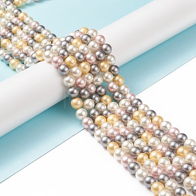 Shell Pearl Bead Strands BSHE-L017-17-1