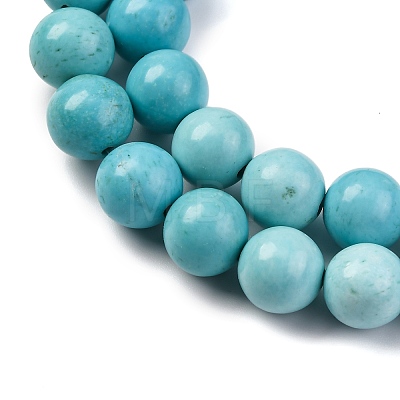 Dyed Natural Magnesite Beads Strands G-P558-A01-01B-1