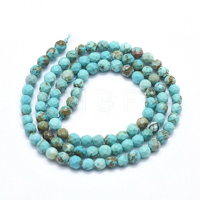 Natural Howlite Beads Strands X-G-D0012-01A-1