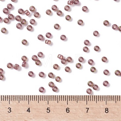 MIYUKI Round Rocailles Beads X-SEED-G008-RR0301-1