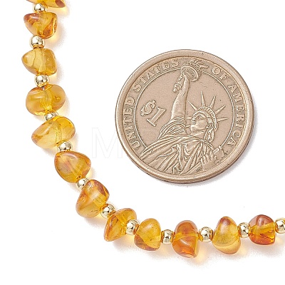 Natural Amber Chip Beaded Necklaces for Women NJEW-JN05862-1