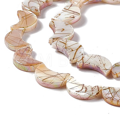 Drawbench Style Natural Freshwater Shell Beads Strands SHEL-F003-05-1