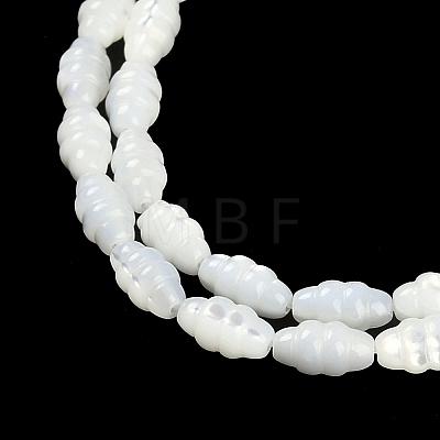 Natural Freshwater Shell Beads Strands BSHE-H109-02-1