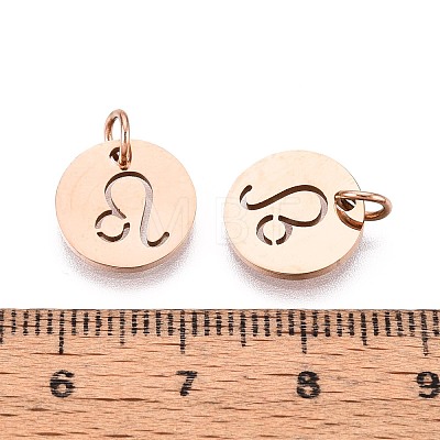 304 Stainless Steel Charms STAS-Q201-T445-5R-1