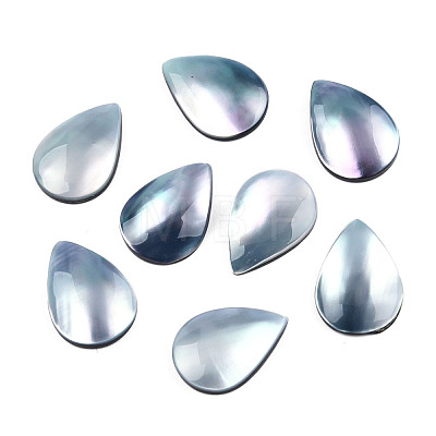 Natural Turbo Cornulus/Top Shells Cabochons SSHEL-N003-157A-1