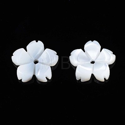 Natural White Shell Beads SSHEL-S260-057-1