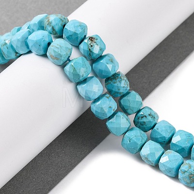 Natural Howlite Beads Strands G-G001-B03-05-1