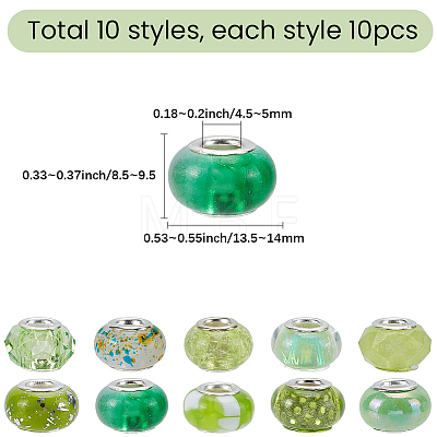 100Pcs 10 Styles Resin European Beads RPDL-SP0001-07-1