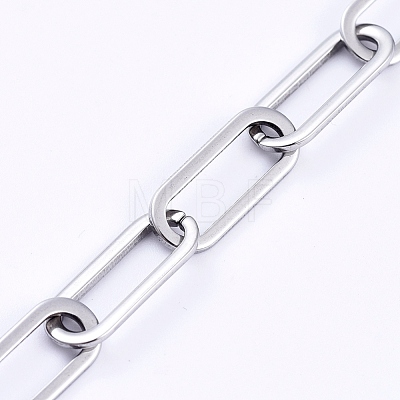 304 Stainless Steel Paperclip Chains CHS-D031-03P-1