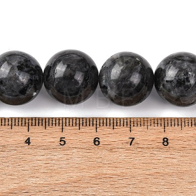 Natural Larvikite Beads Strands G-A310-A03-16mm-1