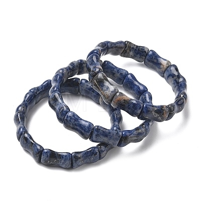 Bamboo Natural Sodalite Beads Stretch Bracelets for Women Men BJEW-K304-01E-1