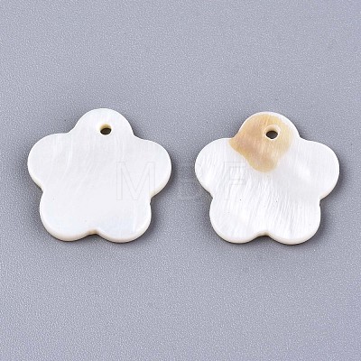 Natural Freshwater Shell Charms SHEL-S276-116-1
