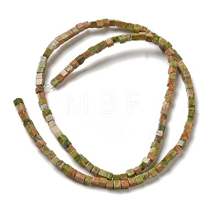 Natural Unakite Beads Strands G-B064-A10-1