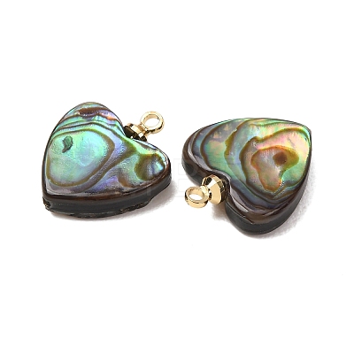 Natural Abalone Shell Pendants SH-CJC0AC7-01F-G-1