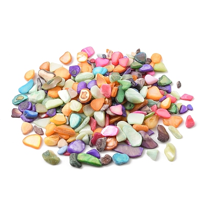 50G Dyed Natural Freshwater Shell Chip Beads BSHE-YW0001-04-1