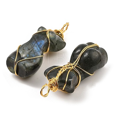 Natural Labradorite Pendants G-K338-30G-02-1